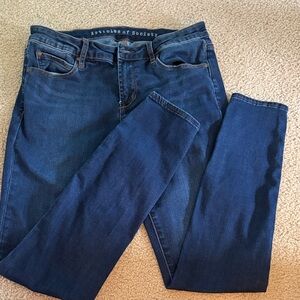 Articles Of Society Deep Indigo Skinny Jeans
